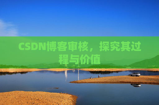 CSDN博客审核，探究其过程与价值